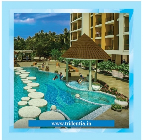 Tridentia Developers