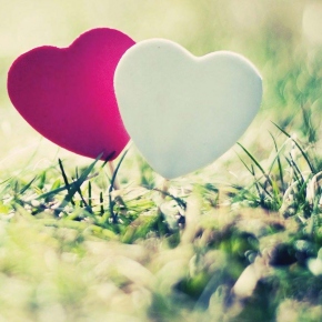 Better Halves