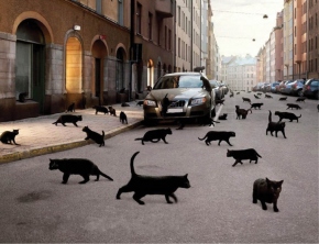 Superstitious Shenanigans!