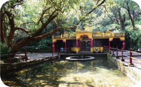 Exploring the secrets of amboli
