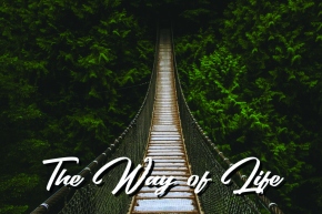 The way of life