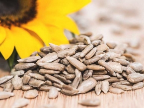 Super Seeds