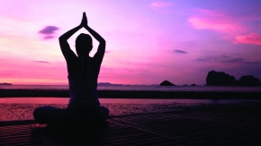 YOGIC WISDOM